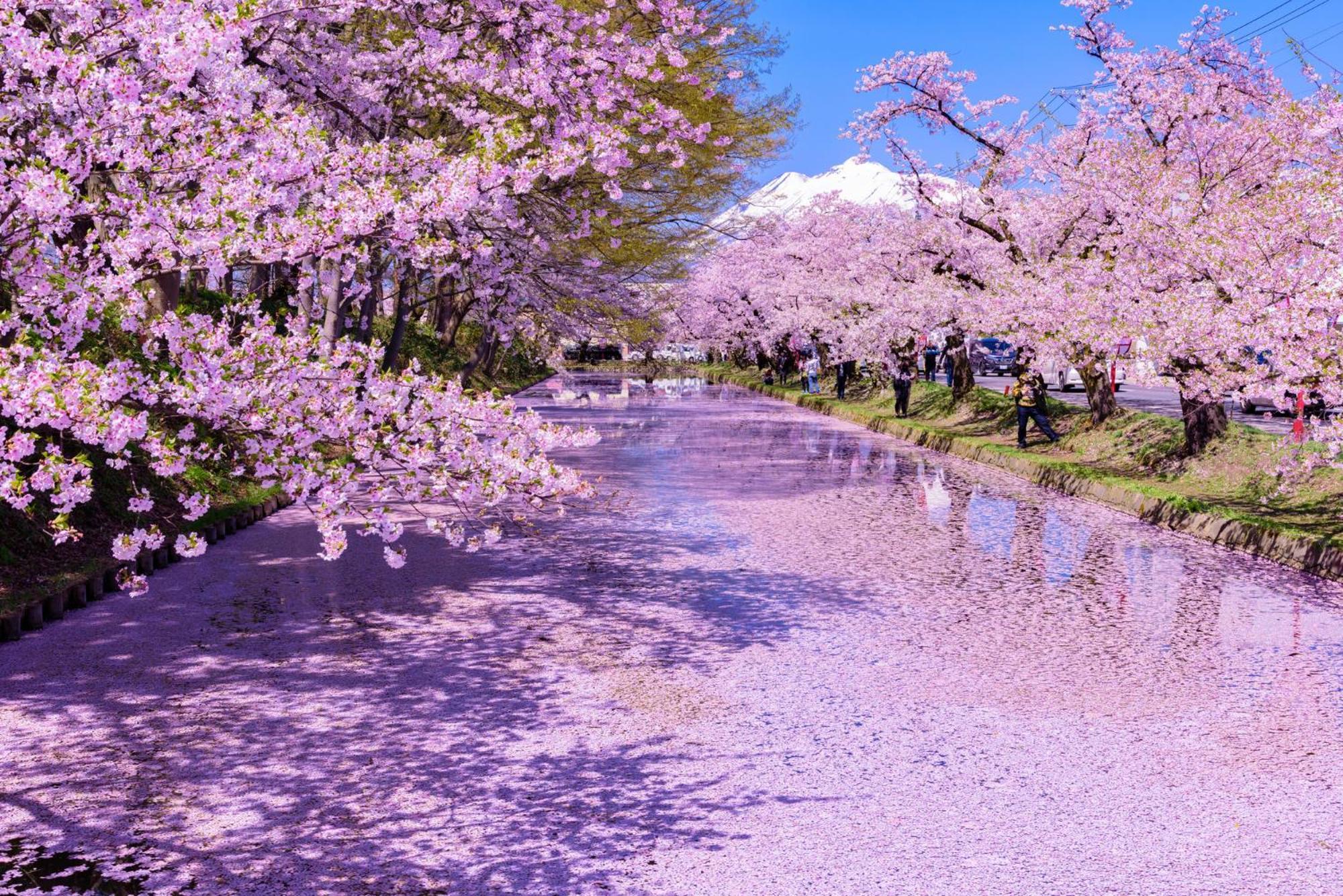 Ryumontei Chiba Ryokan Kazuno Экстерьер фото